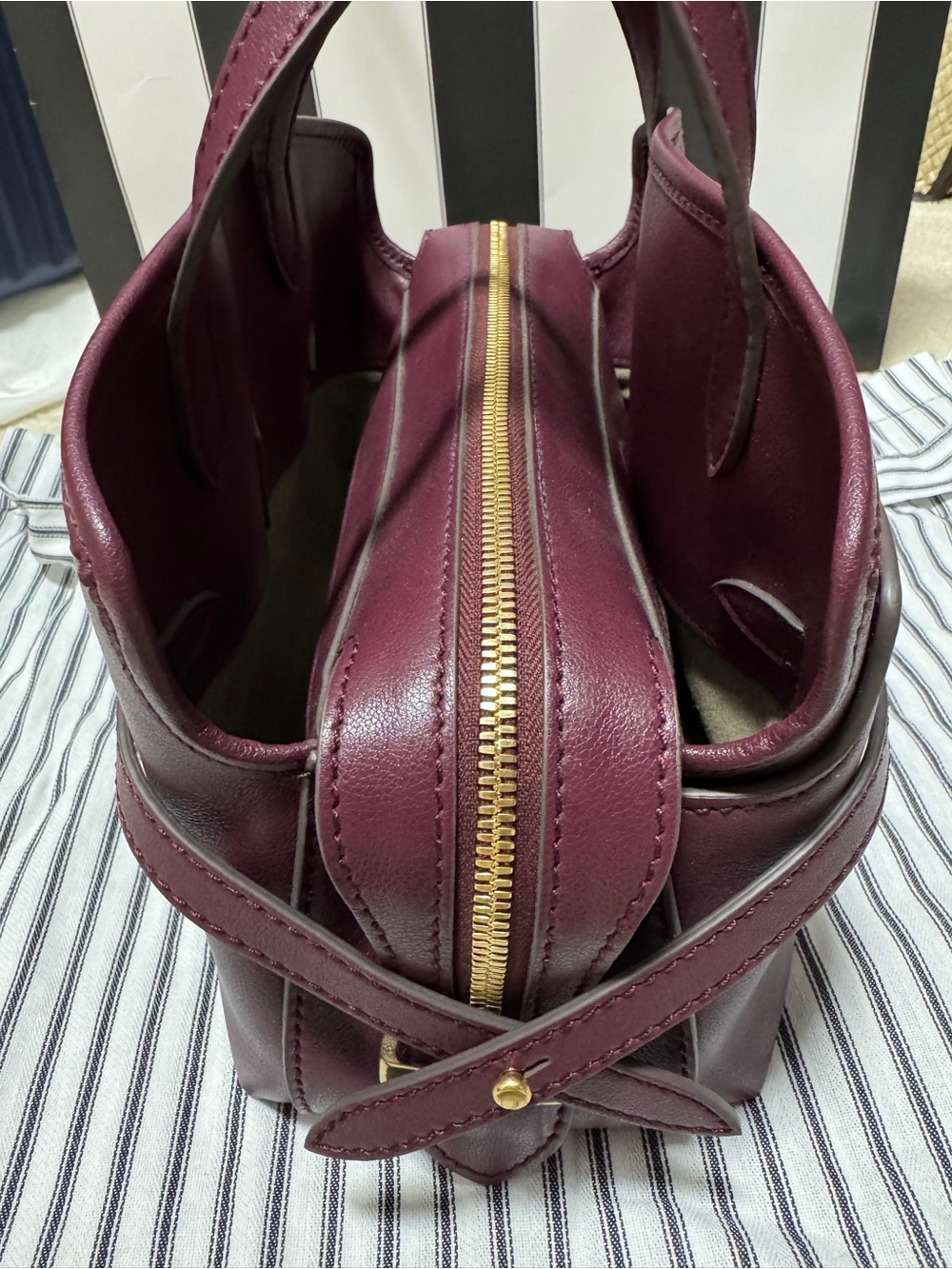 Anya Hindmarch Plum Leather Structured Top-Handle Satchel - Picture 16 of 16